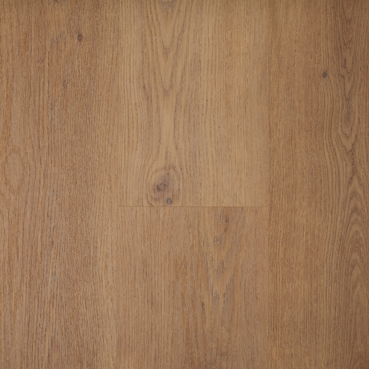 Sample Altenwald eiken - Extra breed