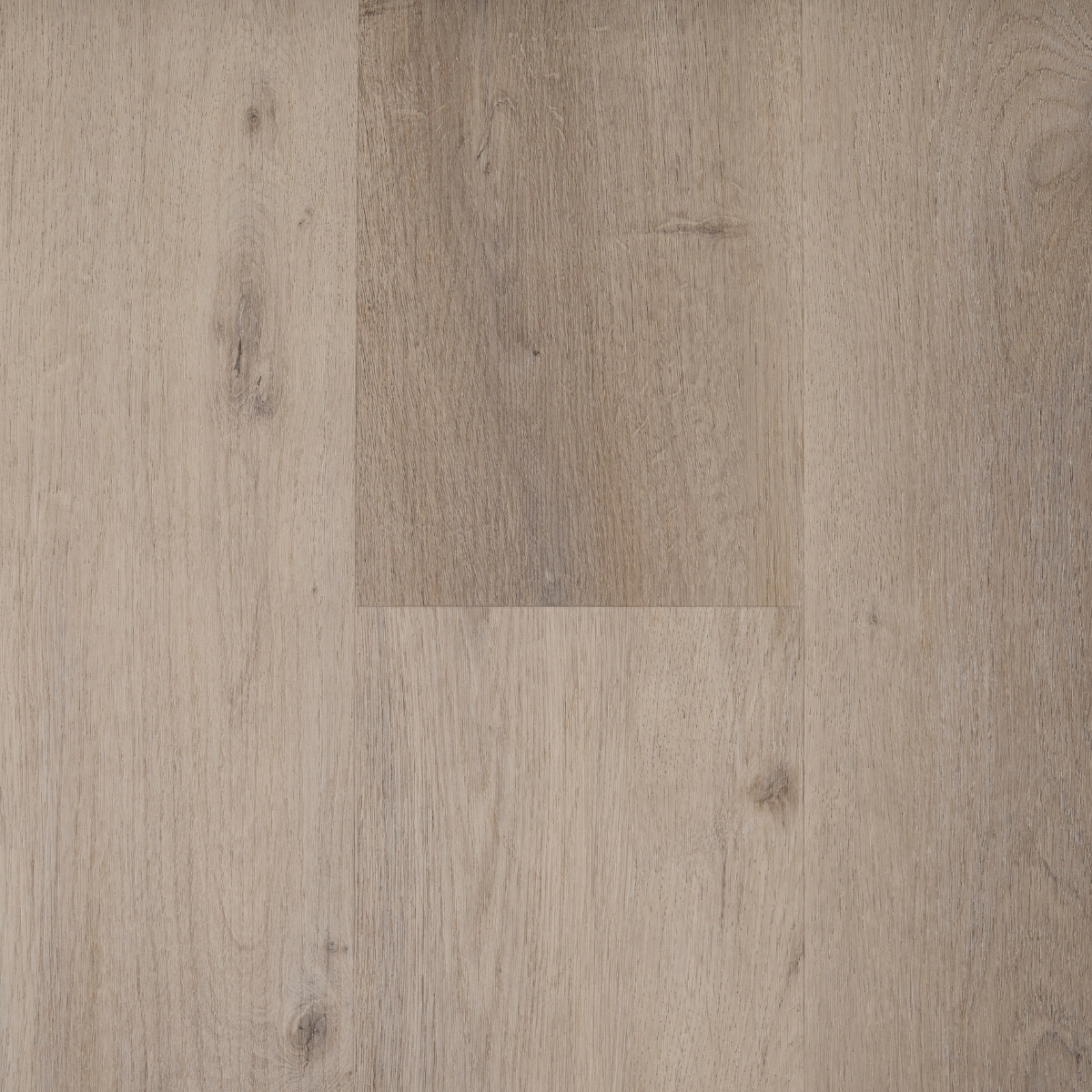 Échantillon chêne de Lusace - Extra large