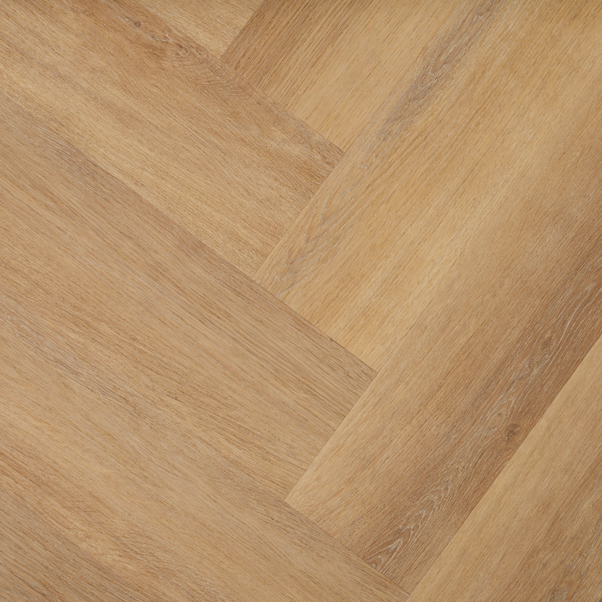 Sample Alteno eiken - Visgraat